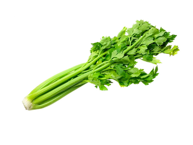 Celery Bunch